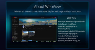 What is Web view?