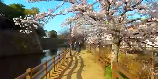 Himeji Castle2