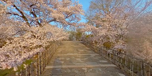 Himeji Castle3